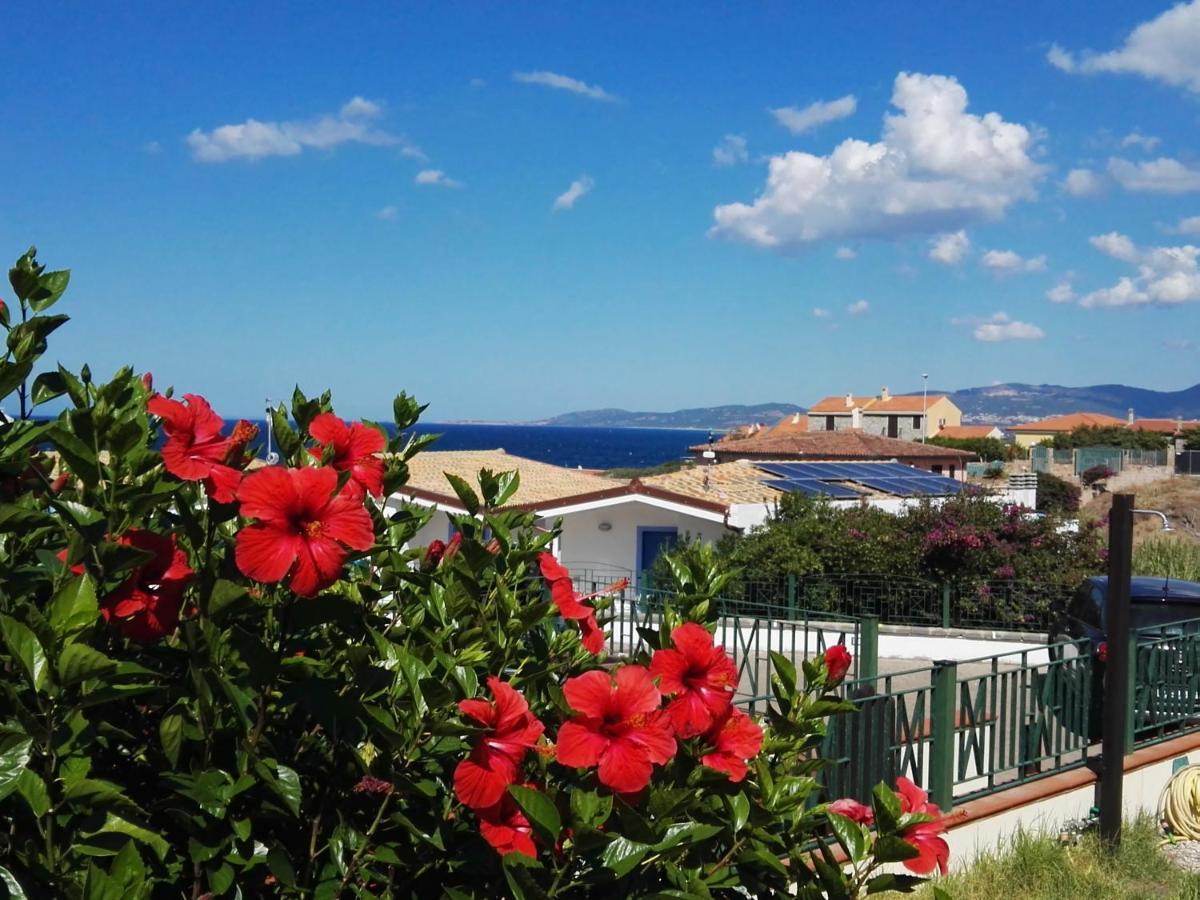 Sardamare La Ciaccia Apartment